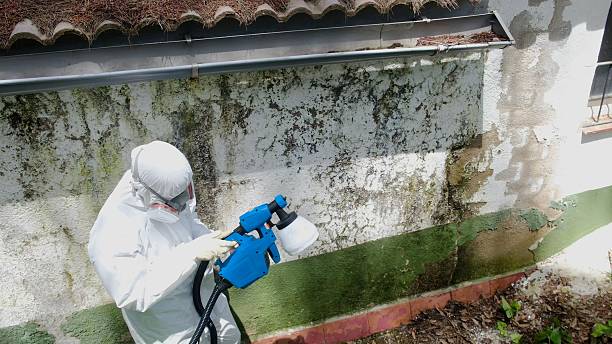 Trusted Commercial Mold Remediation service in Clarendon Hills, IL - Cheap Mold Removal